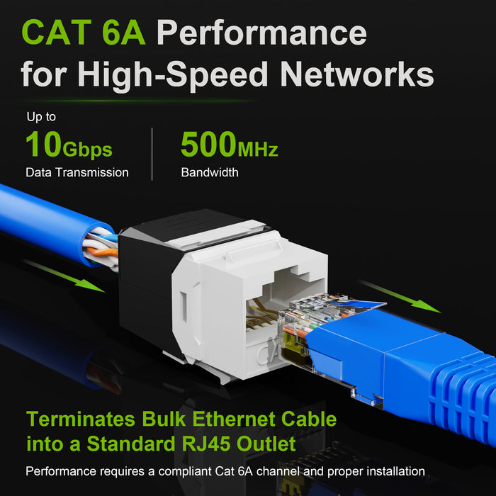 CAT6A Keystone Jack 2-Pack UTP