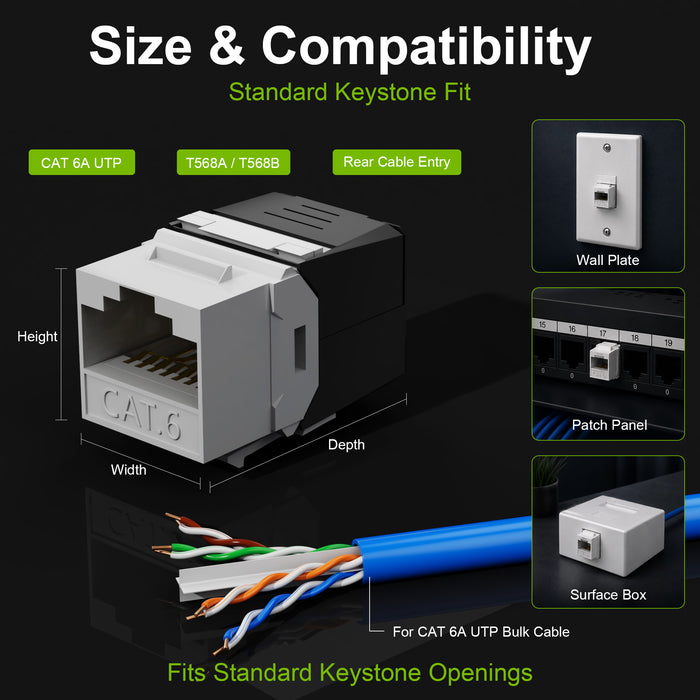 CAT6A Keystone Jack 2-Pack UTP